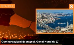 Cumhurbaşkanlığı bütçesi, Genel Kurul’da (2)