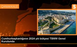 İYİ Parti Milletvekili Cihan Paçacı: Cumhurbaşkanlığı Hükümet Sistemi demokratik dengeyi zayıflattı