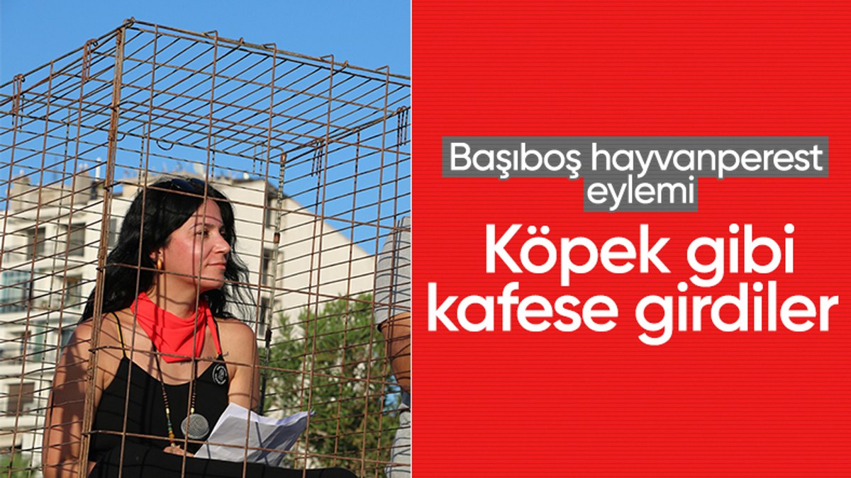 İzmir’de hayvan hakları savunucusu açıklamasını demir kafeste yaptı