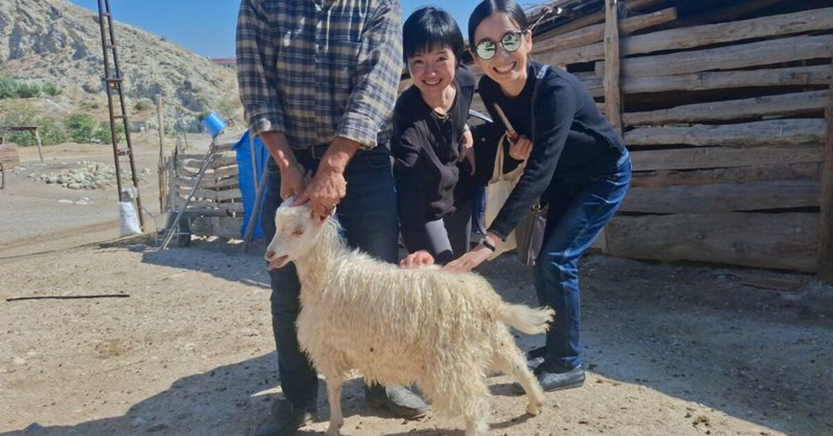 Japonlar Beypazarı’nda kilim ve dokuma atölyelerinde araştırma yaptı