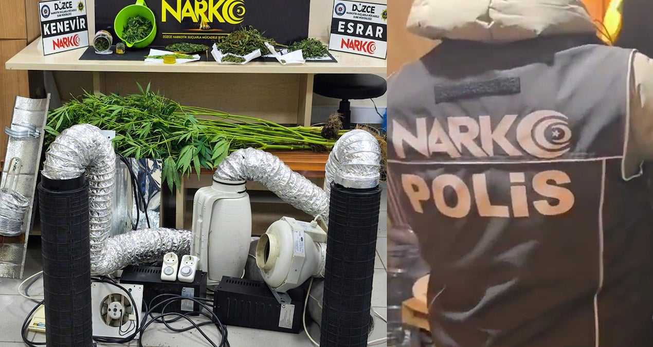 Evini kenevir serasına çevirmiş: 1 gözaltı