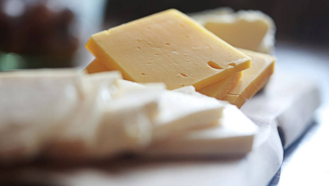 Hayvan sütü olmadan peynir üretildi: Aynı tada sahip, hedef 2028’de seri üretim!